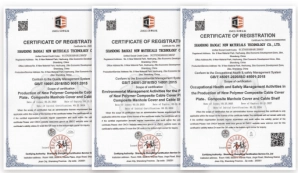 ISO Systems Certificate