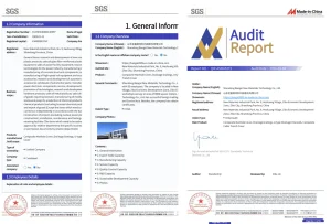SGS Audit Report