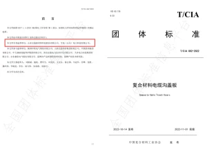 Standard Setter Document